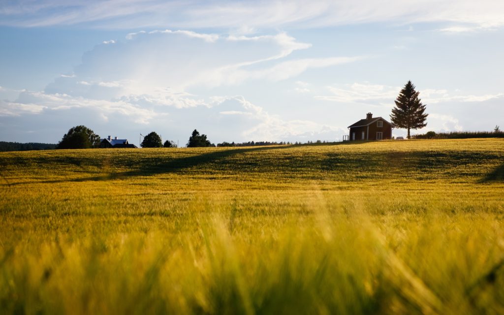 rural