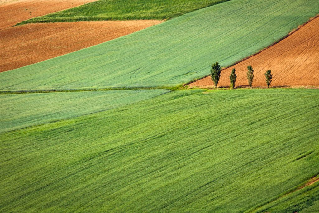 rural farm