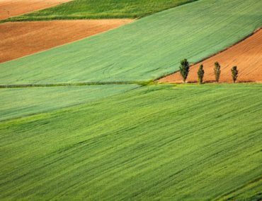 rural farm