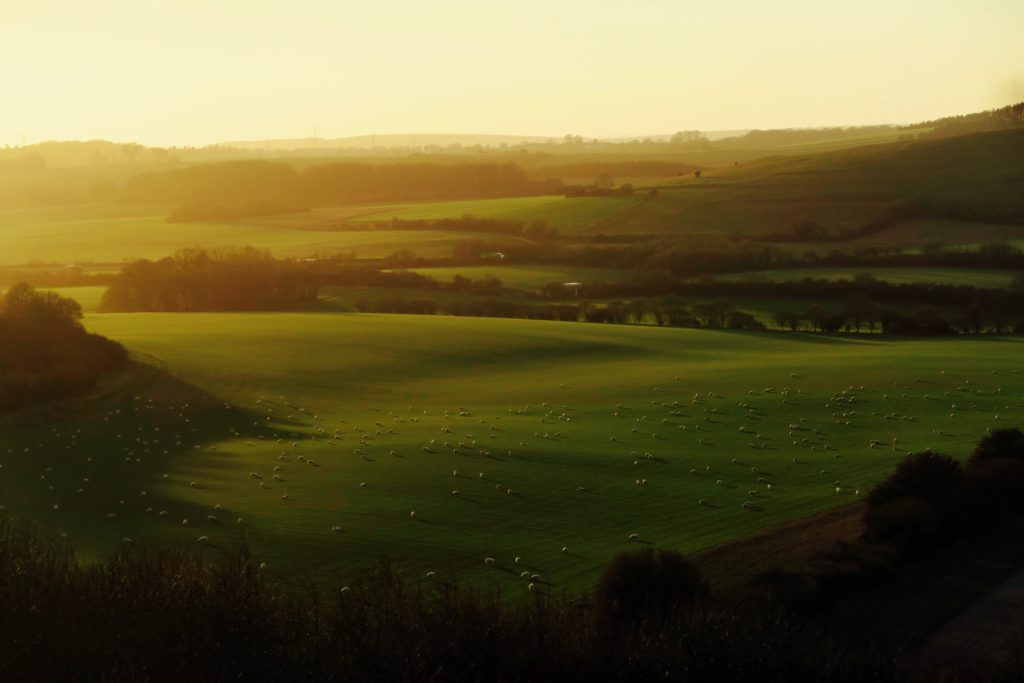 rural landscape