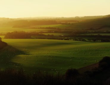 rural landscape